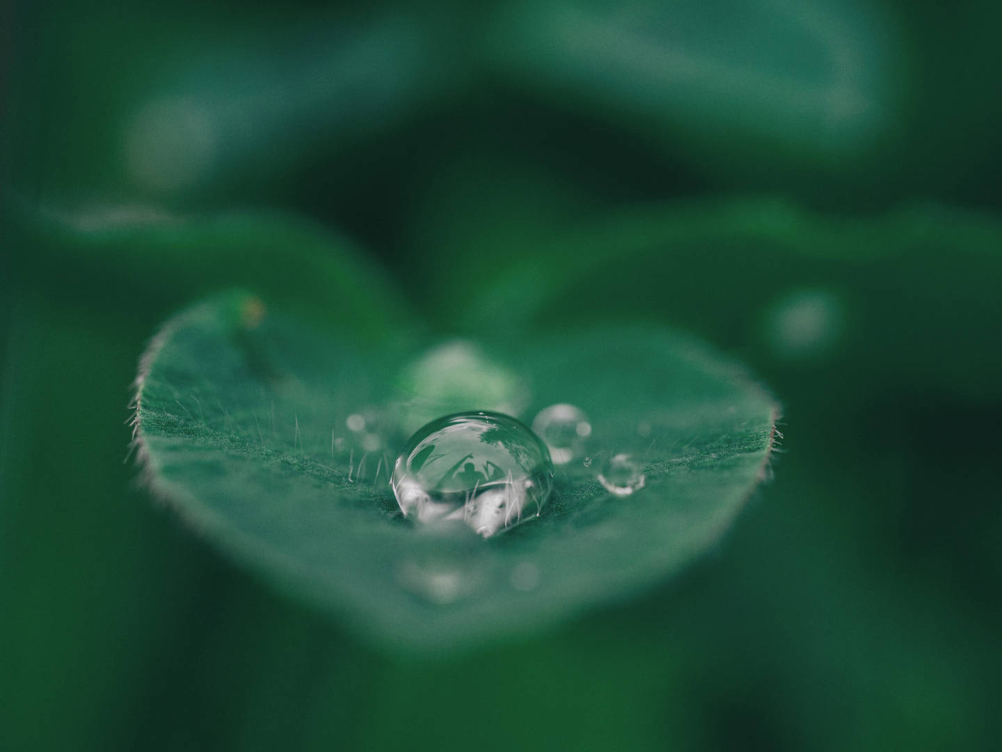 Sustainaibility EGS