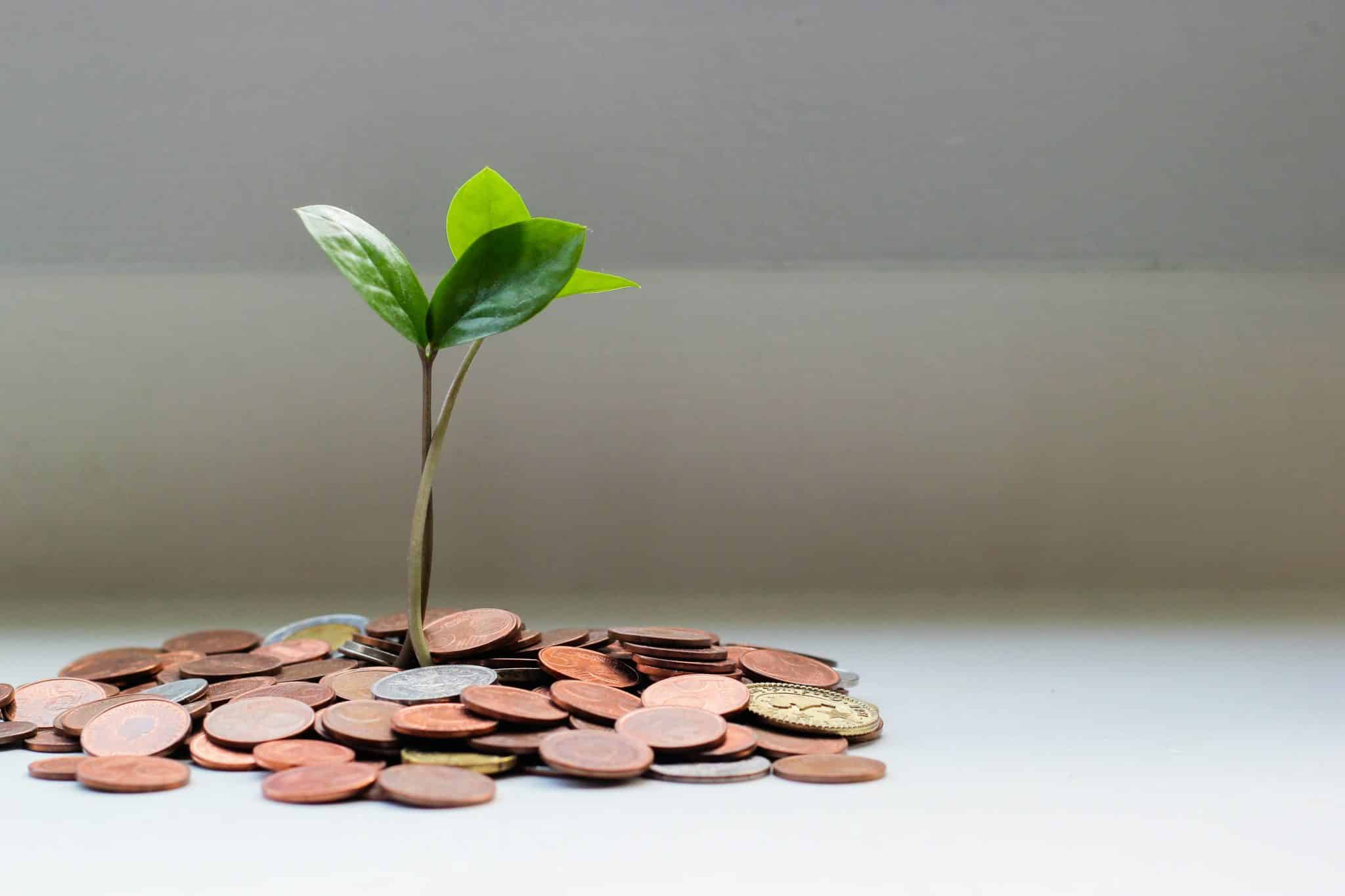 Clean energy investment